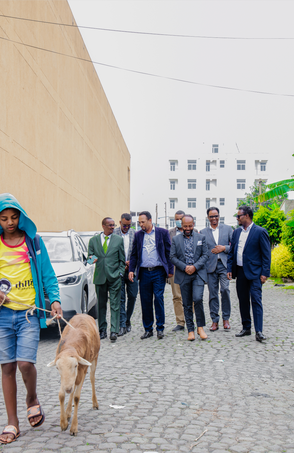 Ceremony Premium Package / የበዐል ፕሪሚየም ጥቅል